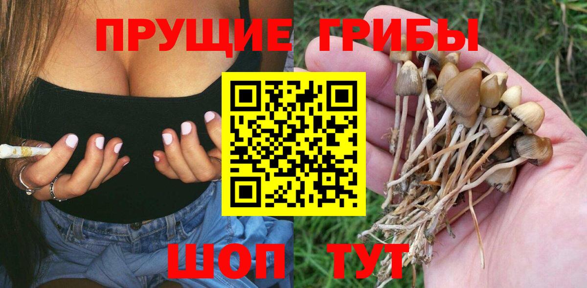 Анжеро-Судженск  где можно купить   Вход с VPN  Псилоцибиновые грибы мухоморы 